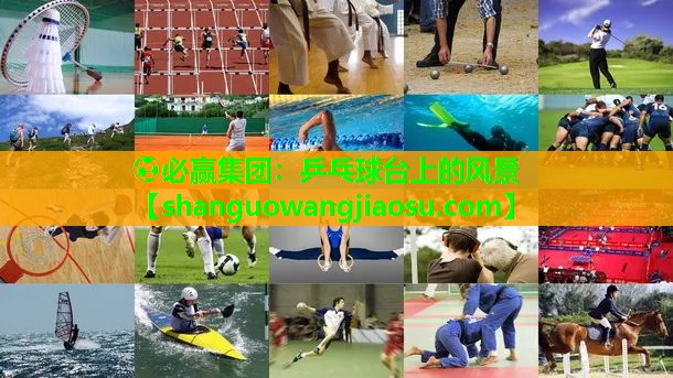 ⚽必赢集团:乒乓球台上的风景